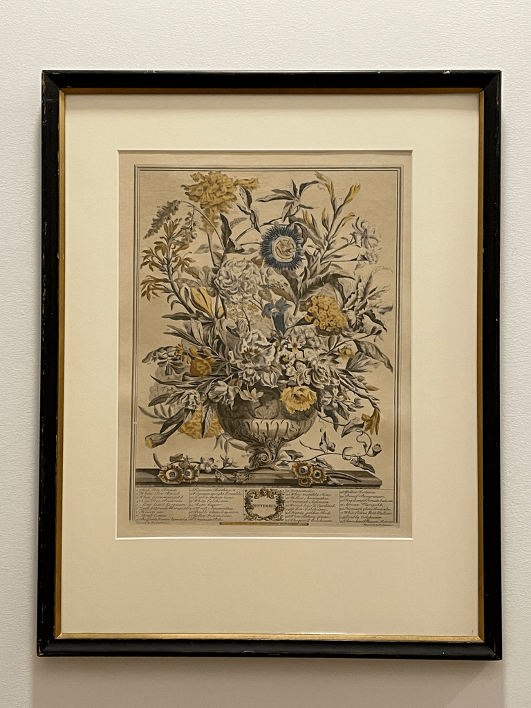 "September - A Botanical Print"  - Robert Furber